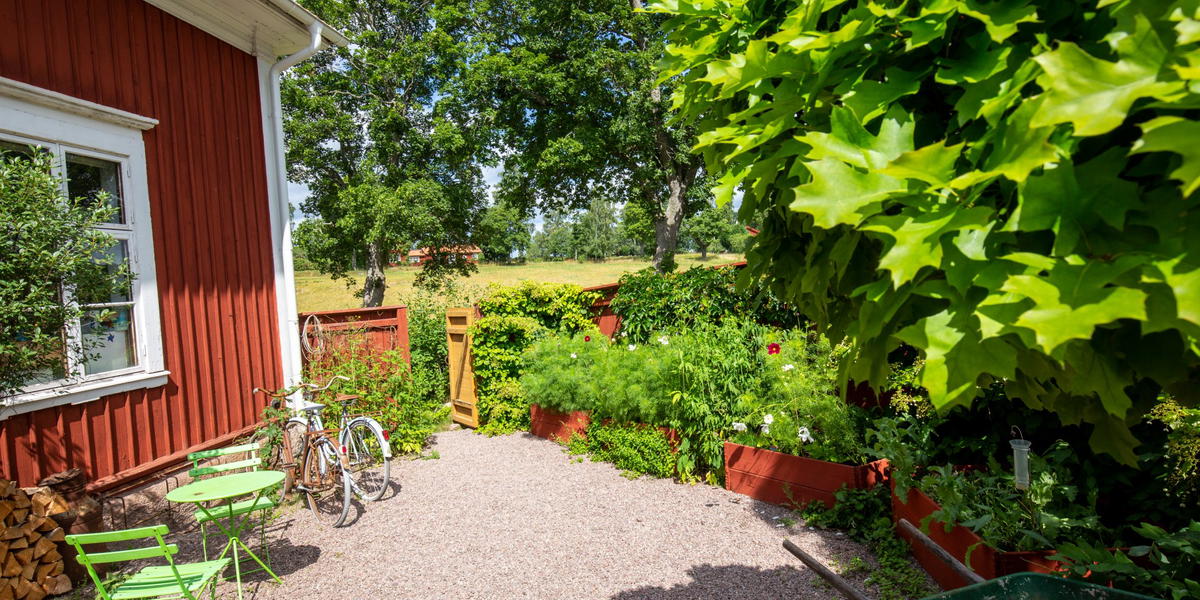 Experter: Tänk på det här om du vill hyra fritidshus – eller hyra ut