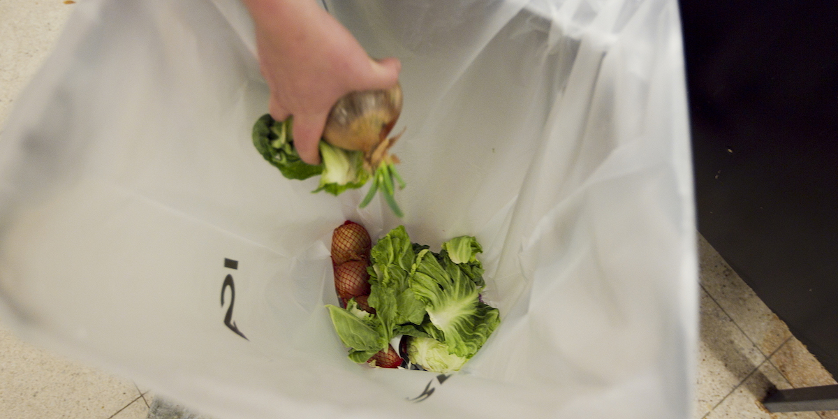 Grönsaker kastas i soporna. Vi svenskar kastar varje år bort ätbar mat för flera miljarder kronor