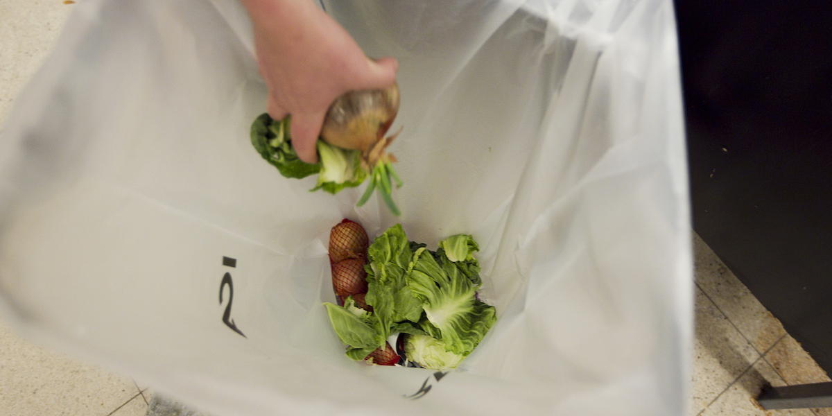 Grönsaker kastas i soporna. Vi svenskar kastar varje år bort ätbar mat för flera miljarder kronor