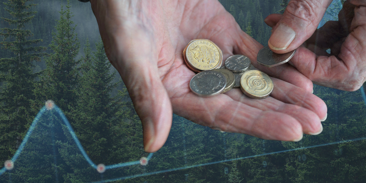 pensionärernas inkomster