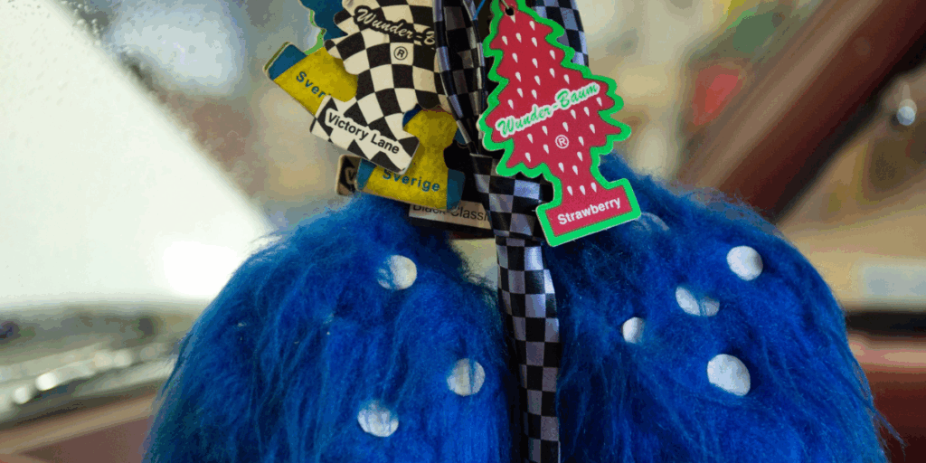 Synen i de flesta bilarna ute på landsbygden. (Foto: Bertil Ericson/TT)