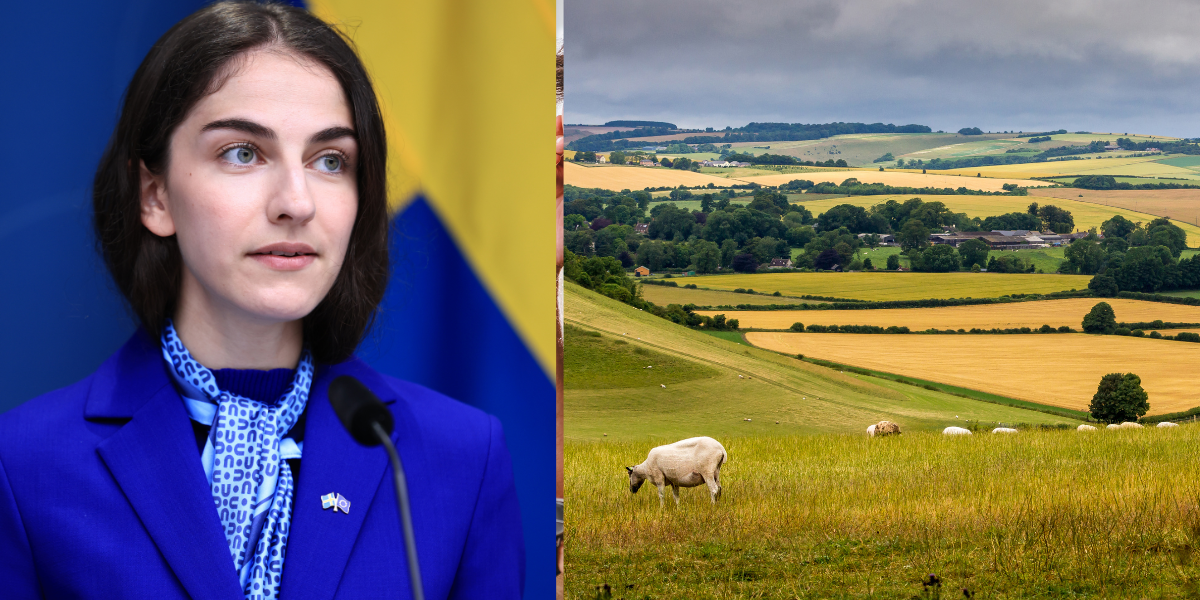 Klimat- och miljöminister Romina Pourmokhtari (L) och en bild på en landsbygd som kommer att få mest i bidrag. (Foto: Ali Lorestani/TT och Canva)