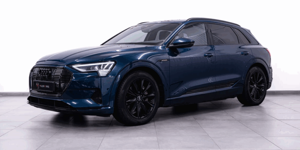 Audi e-tron 55 quattro (Foto: Wayke)