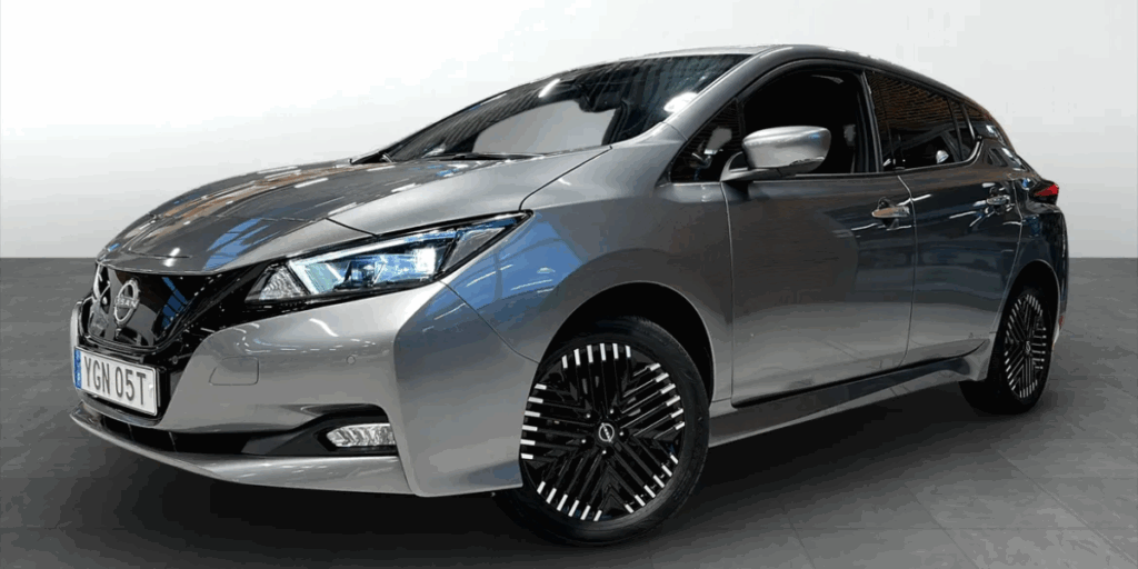 Nissan Leaf e+ (Foto: Wayke)