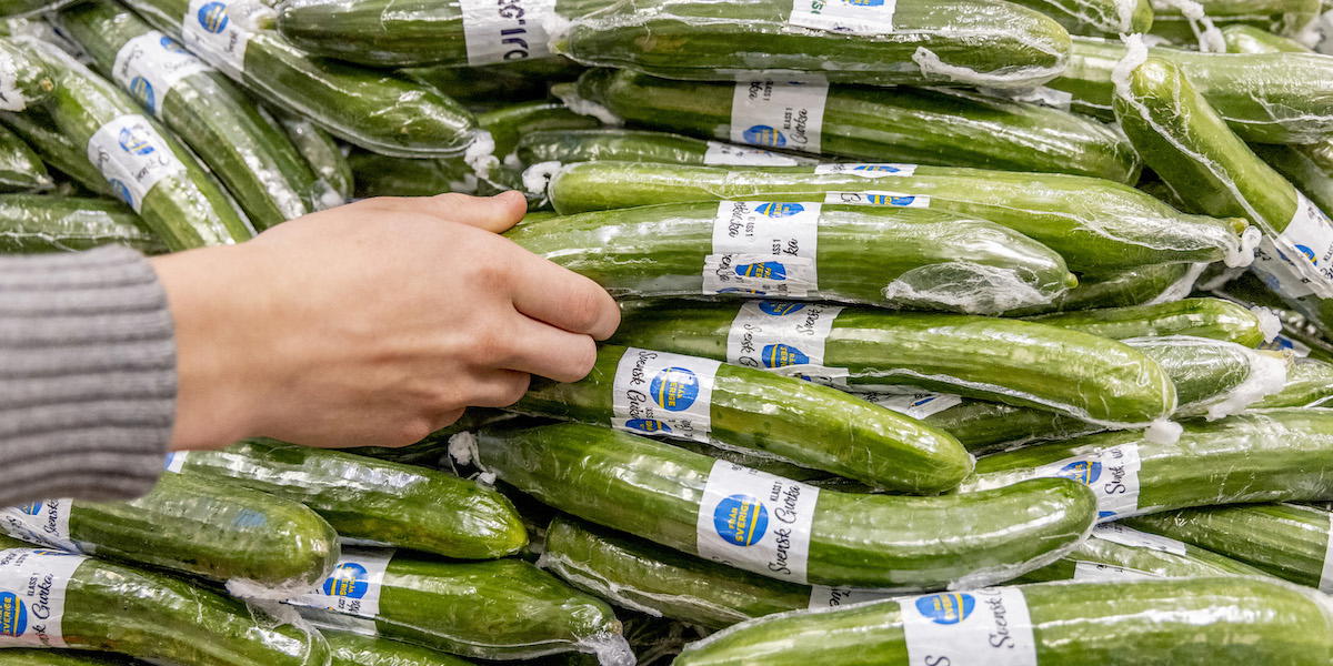 Inplastade gurkor i en butik. Gurka inslagen i plast kan snart vara ett minna blott när du handlar för nu kan det svenska startup-bolaget Saveggys nya uppfinning skydda grönsakerna i stället.