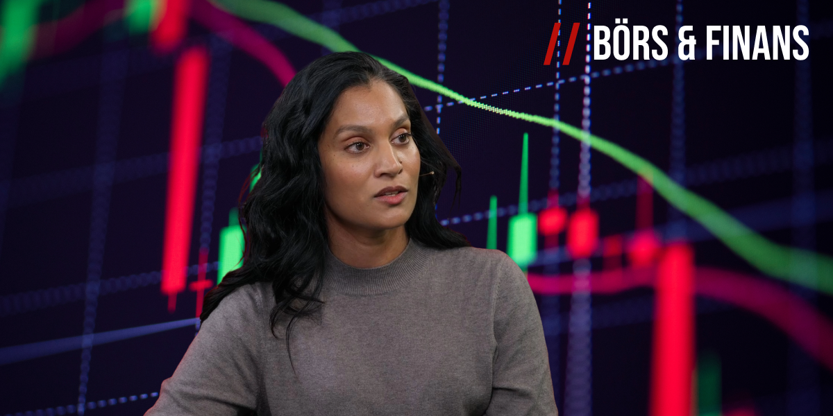 Handbok om ekonomisk kris