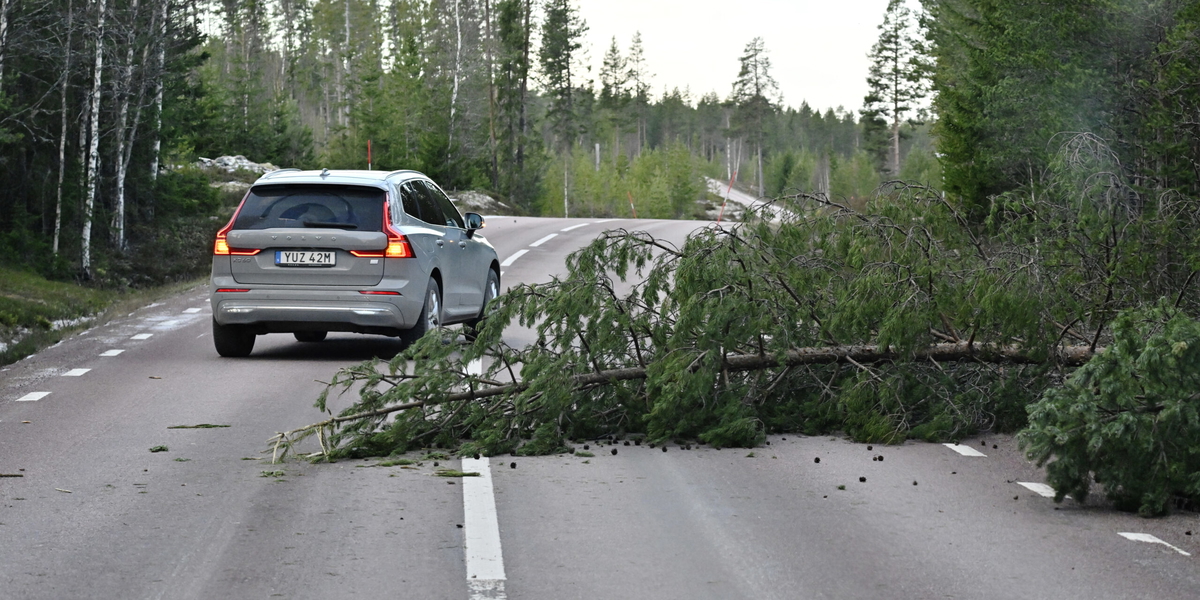 Bilden av skadeläget efter stormen Johannes är fortfarande ofullständig, men miljardvärden befaras ha gått förlorade.