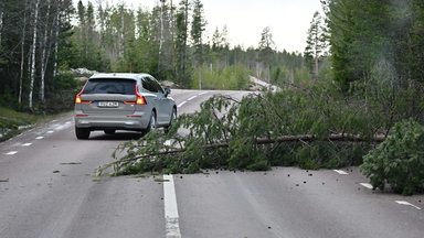 Bilden av skadeläget efter stormen Johannes är fortfarande ofullständig, men miljardvärden befaras ha gått förlorade.