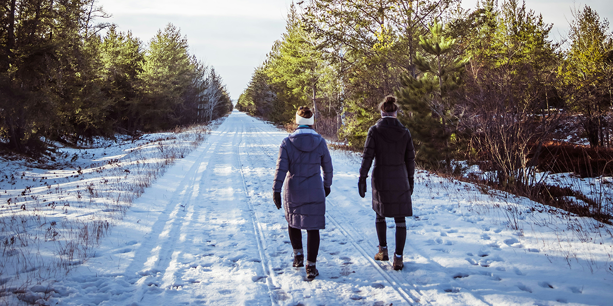 dagsljus vinter skog promenad