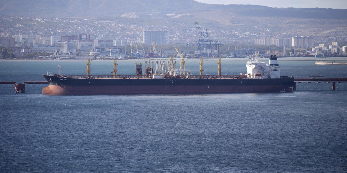 Exportförbudet, infört i somras, förlängs till den 28 februari. Arkivbild.