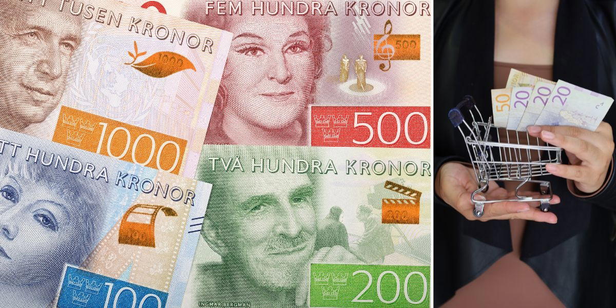 Svenska sedlar. Regeringen anser att Sverige ska ha ett motståndskraftigt betalningssystem och att kontanter är en viktig del av det.