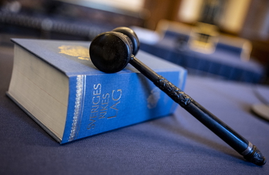 Sveriges rikes lag - lagbok och domarklubba. Arkivbild.