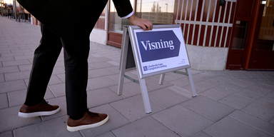visning