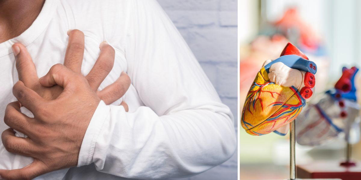 en man rar sig för hjärtat och en modell av ett hjärts. En ny stor studie visar att socioekonomiska skillnader påverkar risken att dö under sjukhusvistelse på grund av hjärtsvikt.
