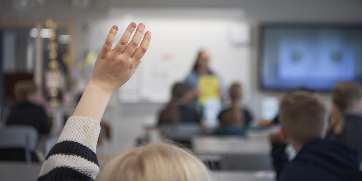 Elev räcker upp handen i klassrum. På en skola i Hässelby jobbar tre pensionärer som volontärer. "Det här är en helt fantastisk skola. Alla tar av sig skorna, räcker upp handen, står bakom bänkarna och lämnar in sin mobil på morgonen", säger en av volontärerna.