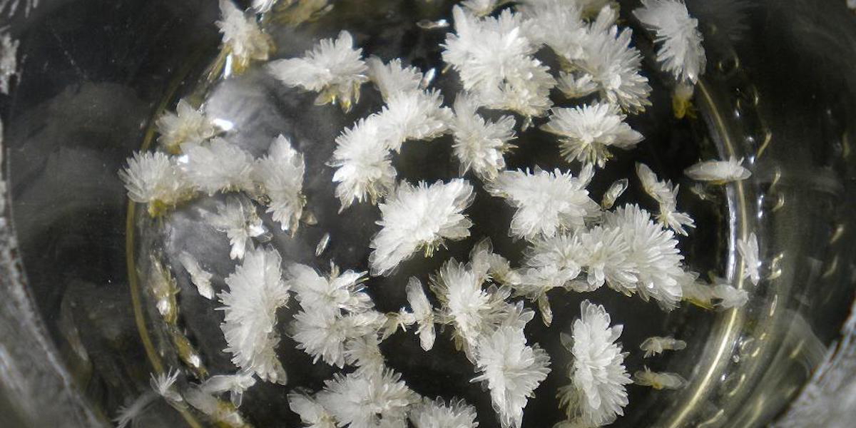 Kristaller av den psykedeliska drogen DMT, som i en studie visat sig kunna lindra svår depression.