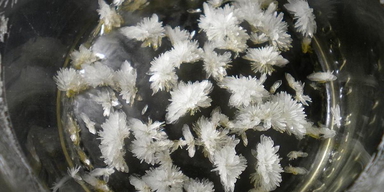 Kristaller av den psykedeliska drogen DMT, som i en studie visat sig kunna lindra svår depression.