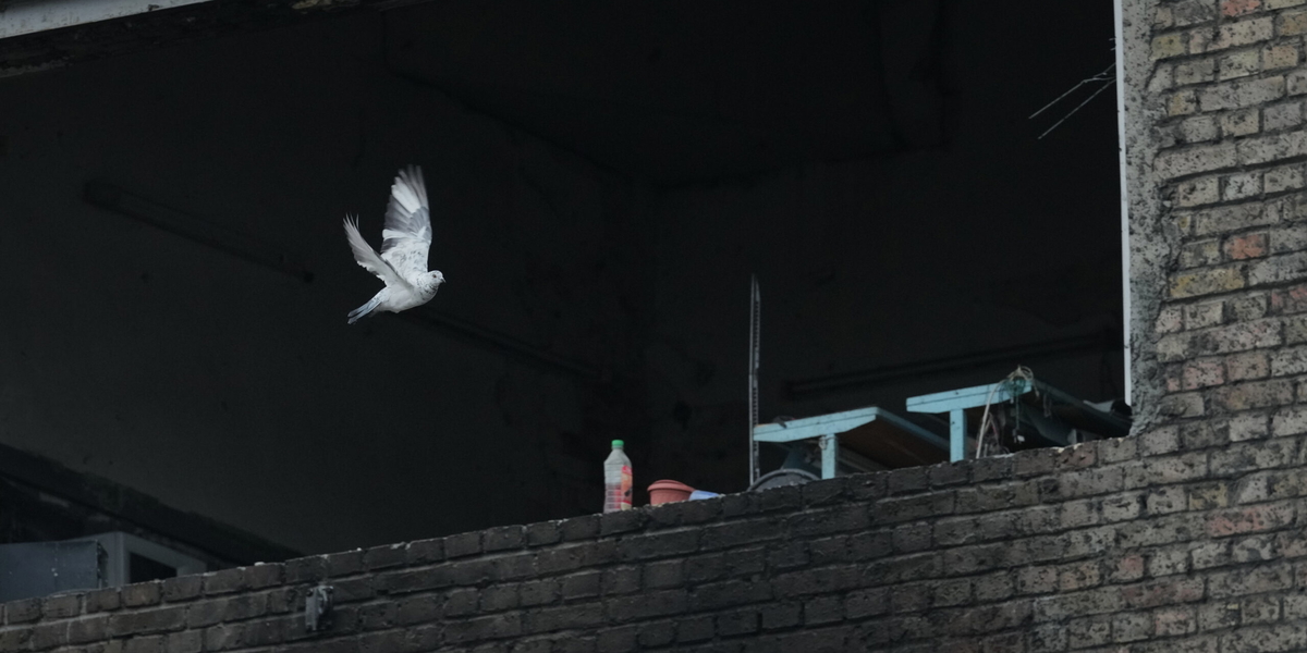 En duva flyger förbi en utbränd byggnad vid ett kraftverk i Kiev som bombades i början av veckan. Arkivbild.