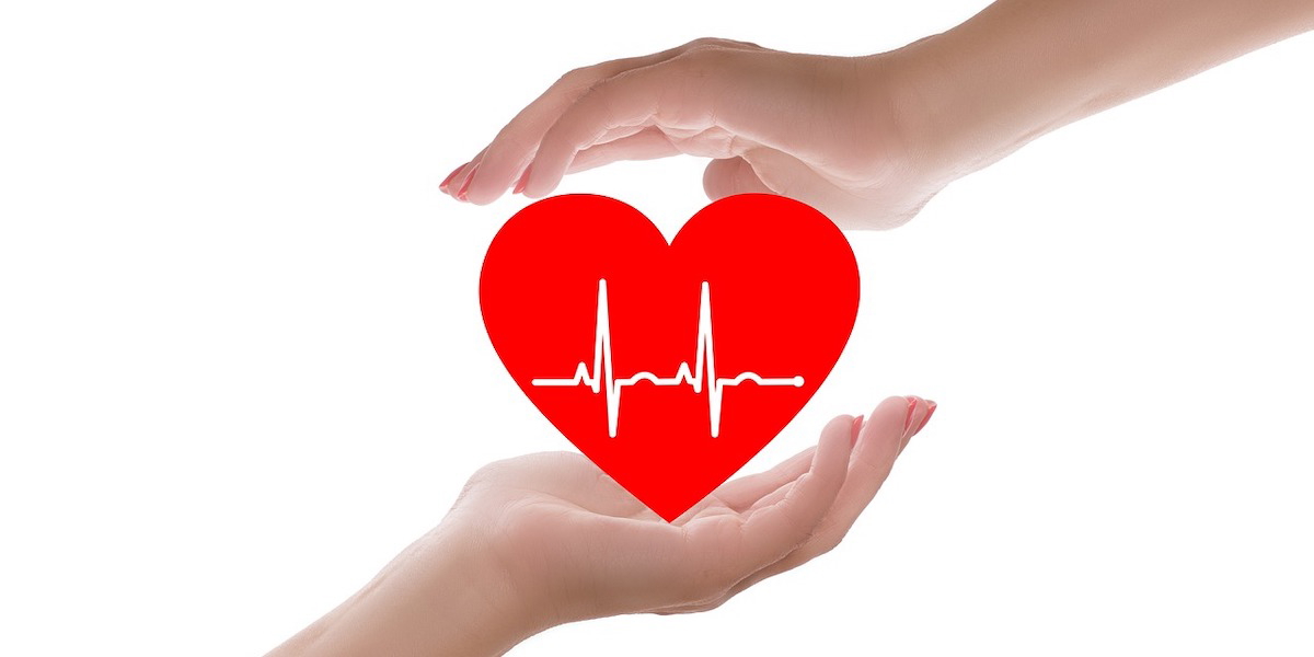 Två händer med ett hjärta mellan sig. Här är fem faktorer som hjälper dig att hålla koll på din hjärthälsa och tre myter om vad som är bra för hjärthälsan.