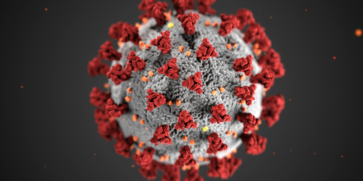 Virus