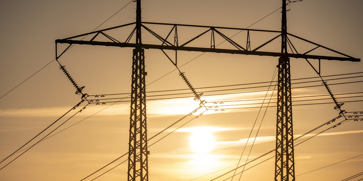 Trots det trögare tempot vill många stora elslukare in på nätet. Arkivbild.