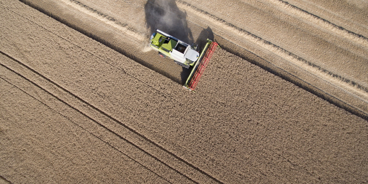 Höstvete tröskas utanför Vallkärra, norr om Lund. Arkivbild
