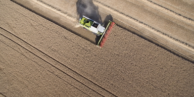 Höstvete tröskas utanför Vallkärra, norr om Lund. Arkivbild