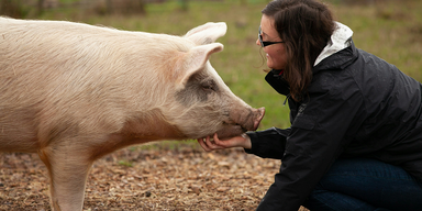 livsmedelsproduktion