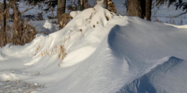 En snödriva. En 84-årig kvinna låg i en snödriva nära sitt hem, därför öppnade hon inte dörren när hemtjänsten ringde på. Om hemtjänstpersonalen hade följt hemtjänstbolagets rutiner hade hon kanske kunnat räddas?