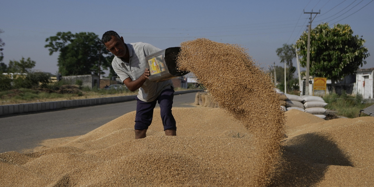 Vetepriserna stiger snabbt som en effekt av högre priser på gödsel och bränsle. Arkivbild
