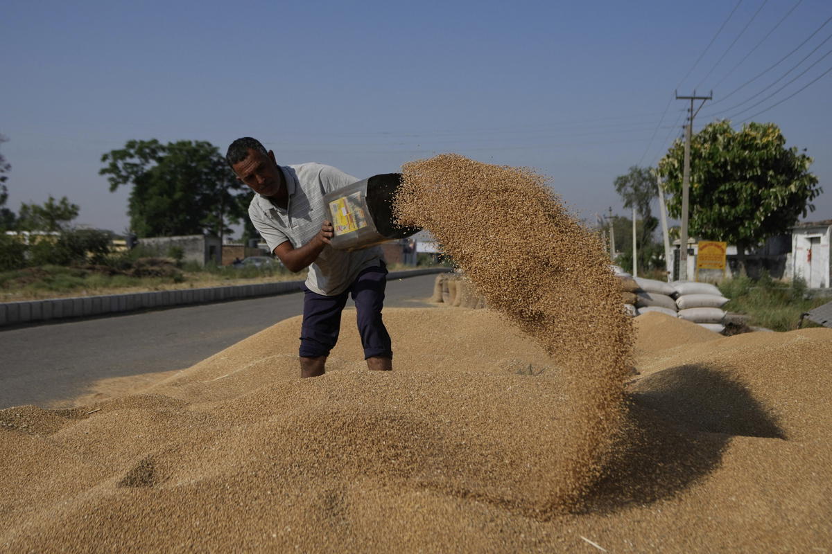 Vetepriserna stiger snabbt som en effekt av högre priser på gödsel och bränsle. Arkivbild