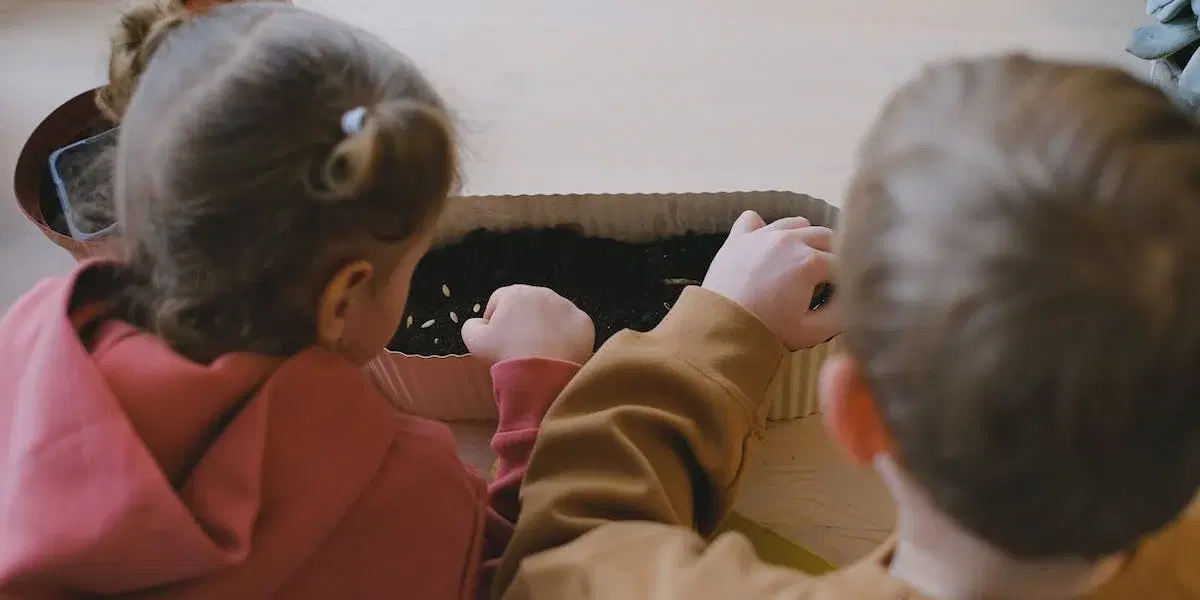 Barn sår frön. Enligt forskare som identifierat riskfaktorer för demens kan rötterna till demens sträcka sig så långt tillbaka som till barndomen eller spädbarnsåldern.