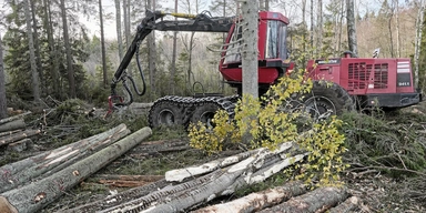 Skogsavverkning. En konsekvensanalys av effekterna av EU-inspirerade förslag om minskat skogsbruk visar att begränsad avverkning inte ger någon klimatvinst utan i stället leder till lägre produktion, färre jobb och ökade samhällskostnader.