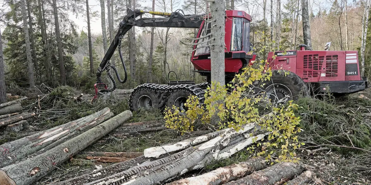 Skogsavverkning. En konsekvensanalys av effekterna av EU-inspirerade förslag om minskat skogsbruk visar att begränsad avverkning inte ger någon klimatvinst utan i stället leder till lägre produktion, färre jobb och ökade samhällskostnader.
