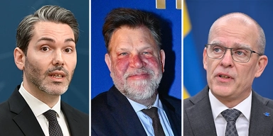 Riksdagspolitikerna Patrik Karlson (L), Mats Berglund (MP) och Ingemar Kihlström (KD), de antog en utmaning och levde på en medianpension i en vecka.