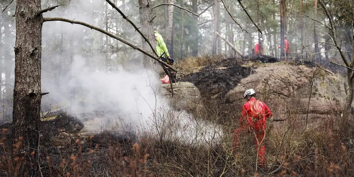 Räddningstjänsten arbetar med att bekämpa en skogsbrand som bröt ut i Delsjöområdet i Göteborgs kommun i maj i år. En ny analys visar att den här sortens naturhändelser som orsakas av klimatförändringar slår olika mot olika grupper av människor.