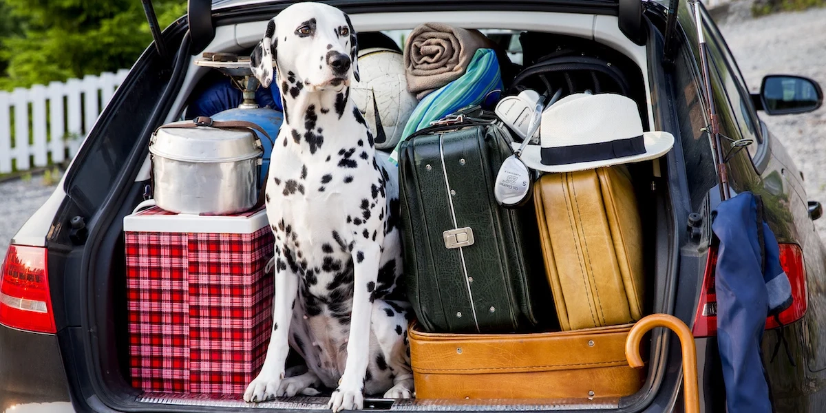 En bil med fullpackat bagageutrymme, bland annat en hund. Ska du ge dig ut på en bilresa i värmen? Här får du i så fall lite tips från en trafiksäkerhetsexpert.