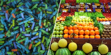 Bakterier och frukt och grönsaker. Människor som drabbas av typ 2-diabetes uppvisar förändringar i tarmfloran flera år innan sjukdomen bryter ut, det visar en studie som generellt stödjer dagens rekommendationer om att äta mycket frukt, grönsaker, baljväxter och fullkorn.
