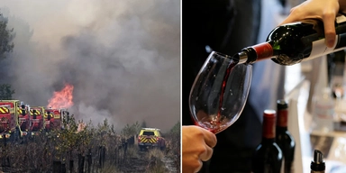 Dyrare viner från Frankrike och Spanien väntar efter sommarens bränder, tror experter.
