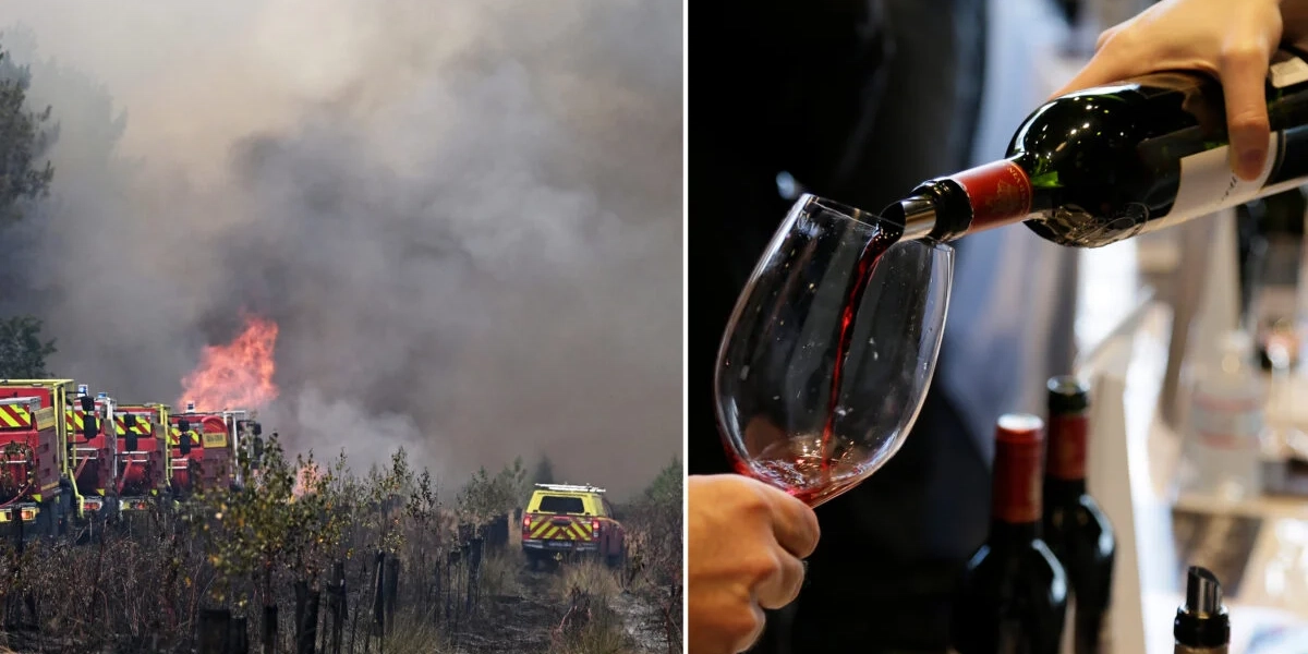 Dyrare viner från Frankrike och Spanien väntar efter sommarens bränder, tror experter.