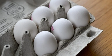 ägg
