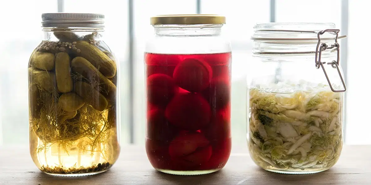 tarmbakterier fermenterad mat