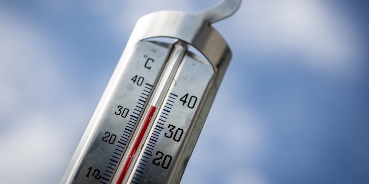 En termometer visar 35 grader. Höga temperaturer påverkar både cirkulationen och hjärnan negativt.