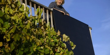 solceller