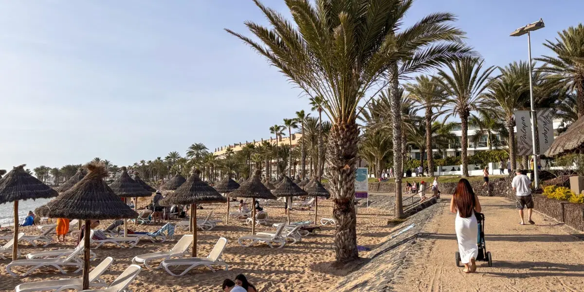 Playa del Camison på Teneriffa. Arkivbild. 