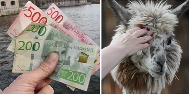 veckans mest lästa handlar bland annat om miljoner och lyxbyggen.