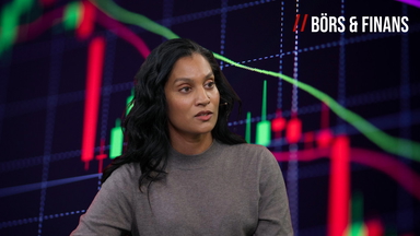 Handbok om ekonomisk kris