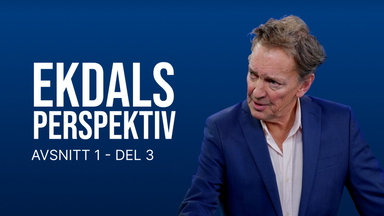 Ekdals Perspektiv 1,3